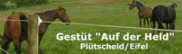 gestute
