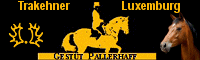 Gestuet Pallerhaff