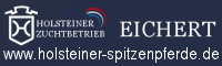 holsteiner spitzenpferde