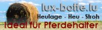 lux botte
