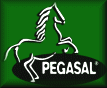 pegasal