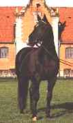 eisenbarth