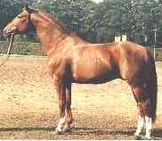 wladimir