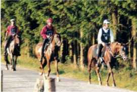 Distanzreiten Clerf 1999