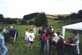 Distanzreiten Clerf 1999
