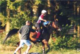 Distanzreiten Clerf 1999