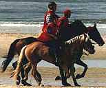 strand2