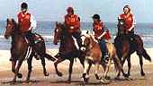 strand