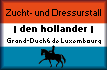 den hollander