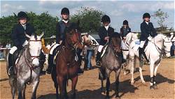 ponys
