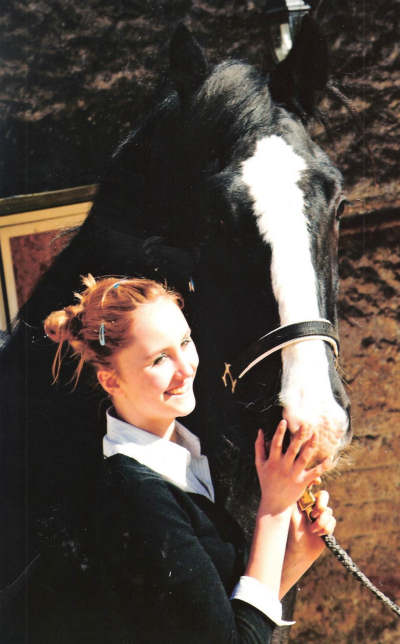 Shire Horse: Herkunft Und Besonderheiten